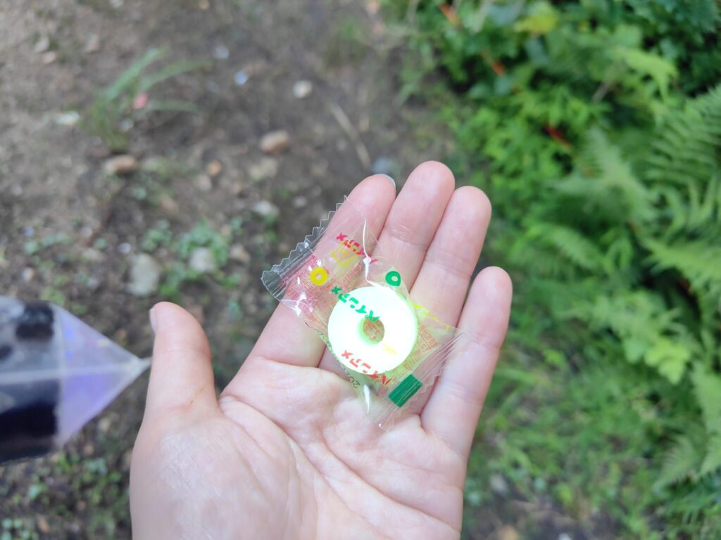 パインアメが光る