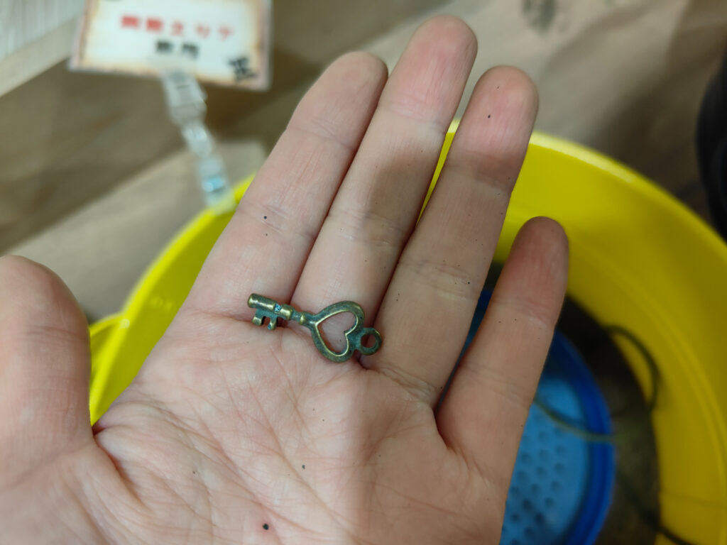 オアシスパーク洞窟エリアで発掘した鍵