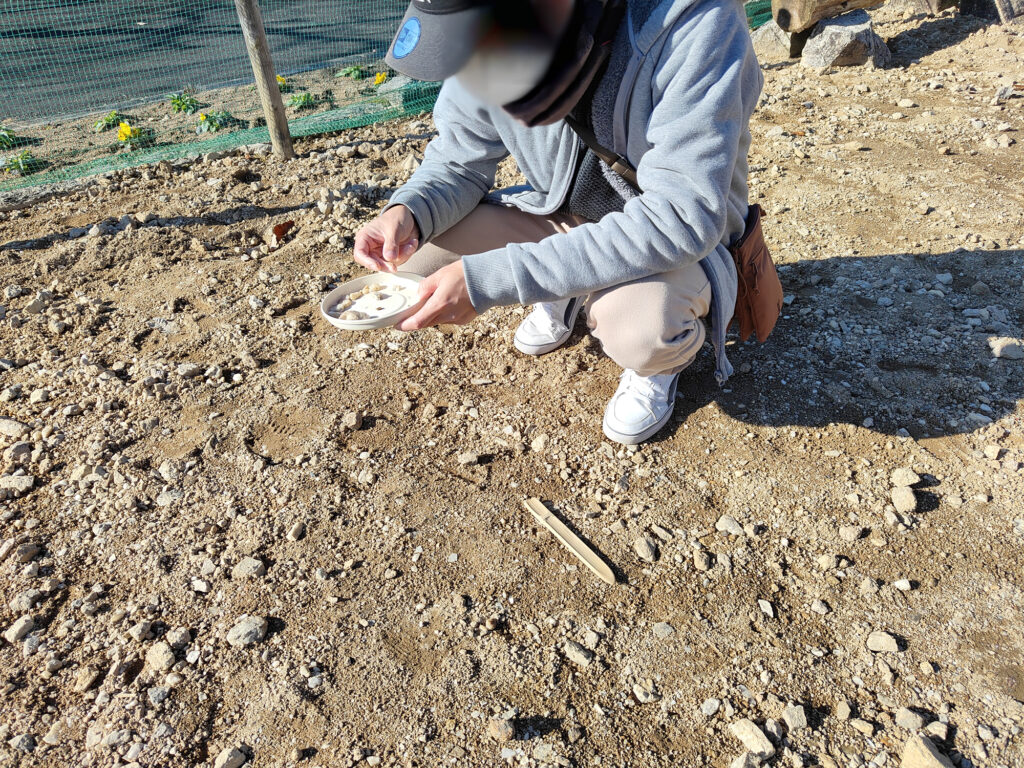 中津川市鉱物博物館のストーンハンティング