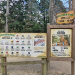 六甲山牧場ゴールドラッシュ宝石探し