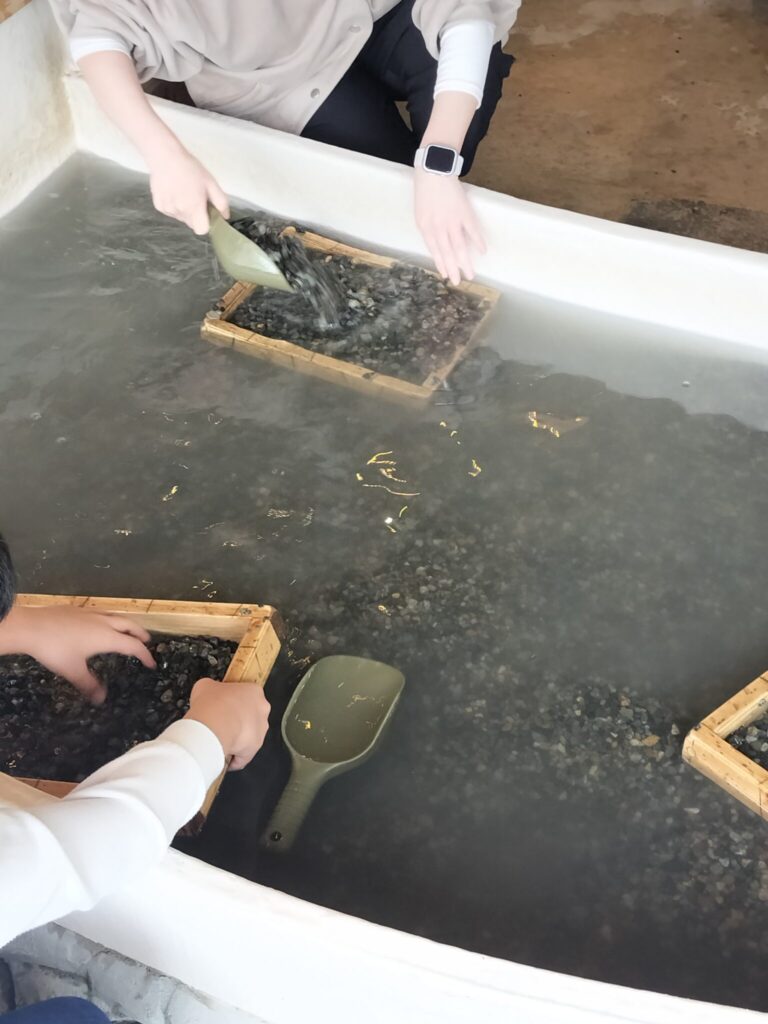 福井トレジャーマイニング宝石探しリバーエリア